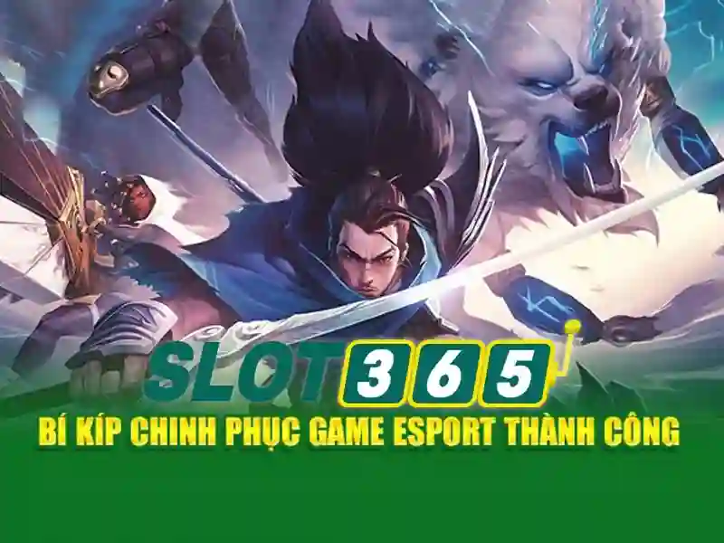 Trải nghiệm người dùng và di động