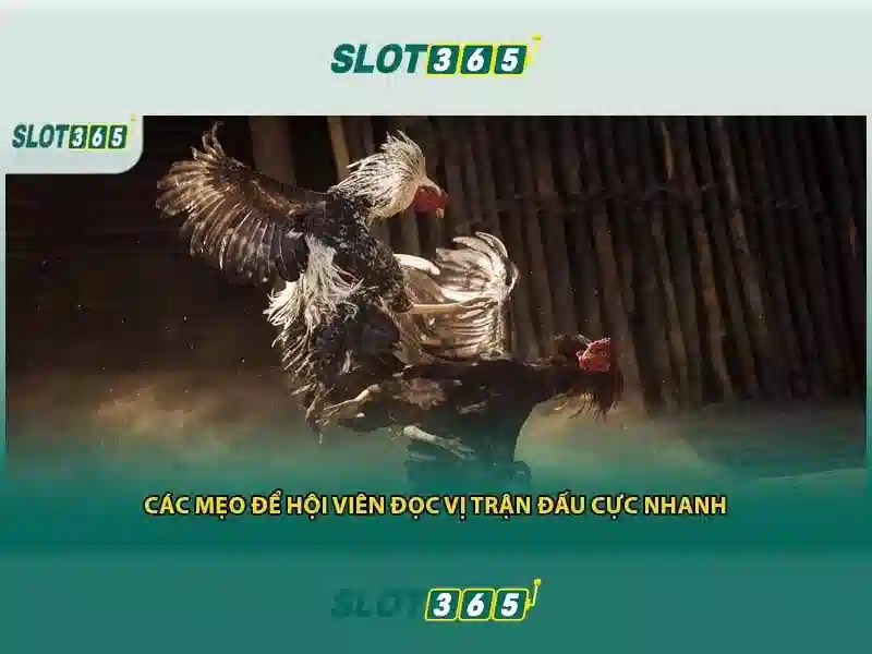 Khởi nguồn và sứ mệnh của nạp tiền Slot365
