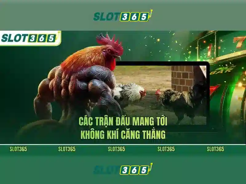 Hỗ trợ khách hàng và phục vụ\n\n
