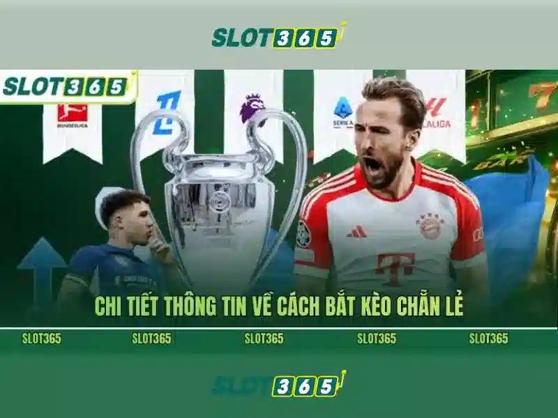 Slot365: Đánh giá nền tảng máy xèng trực tuyến