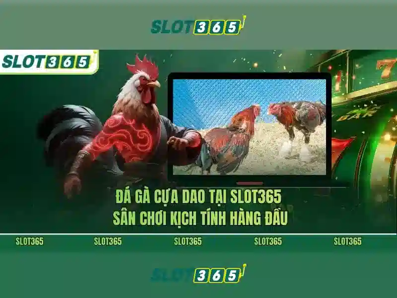 Trải nghiệm người dùng