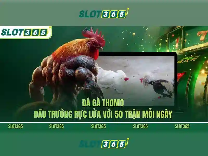 Tại sao nên chọn Slot365 cho trò chơi giải trí?