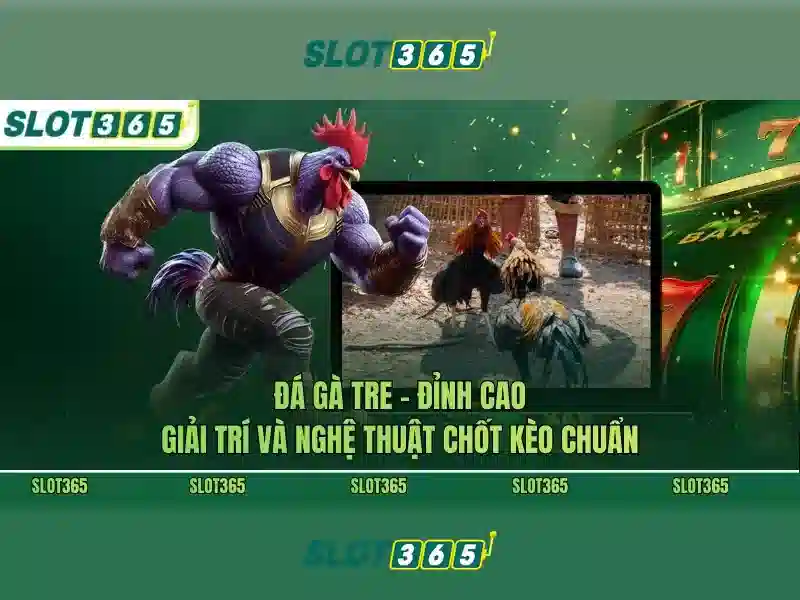 slot365 là gì: tổng quan và trải nghiệm Slot365