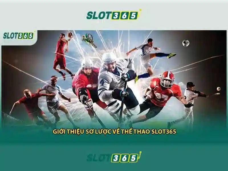 Dịch vụ hỗ trợ 24/7 và trải nghiệm người dùng tối ưu