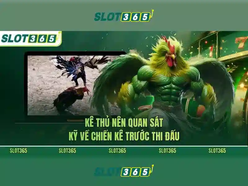 Slot365: Khám phá nền tảng máy đánh bạc trực tuyến uy tín