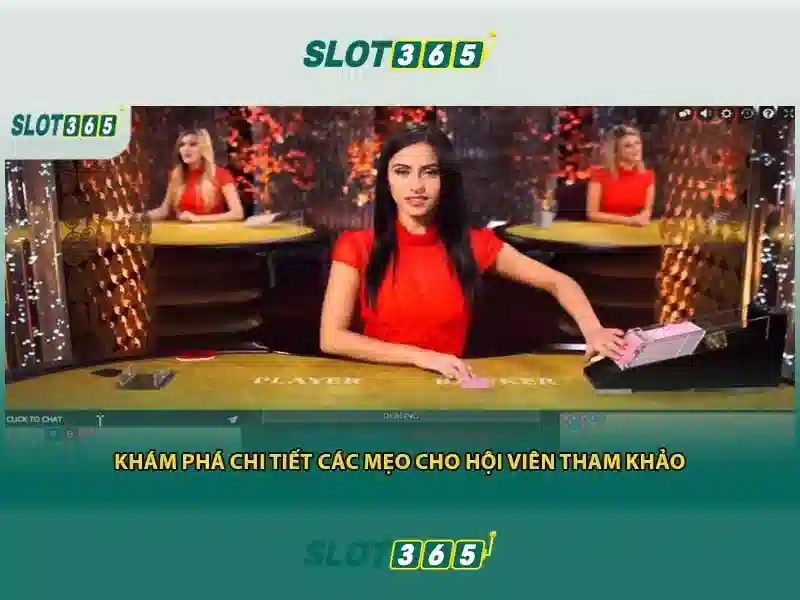 casino Slot365 – Chủ đề tổng quan và giá trị cốt lõi