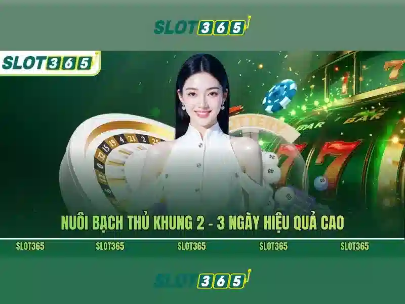Trải nghiệm chơi tại slot365