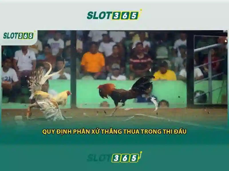 Trải nghiệm người dùng và giao diện