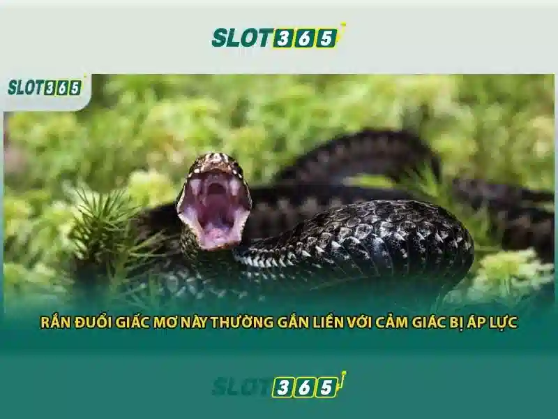 Nguồn gốc và sứ mệnh của từ khóa