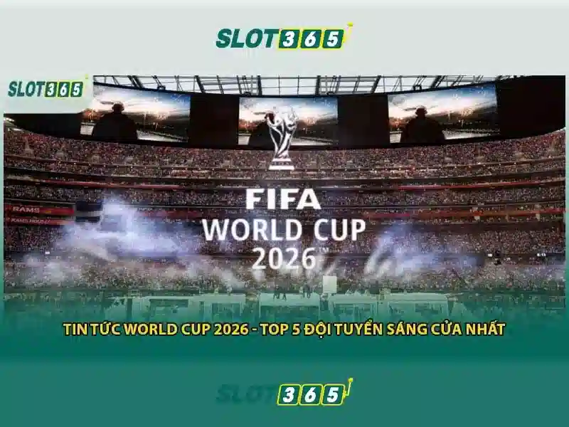 Trải nghiệm người dùng và phản hồi cộng đồng