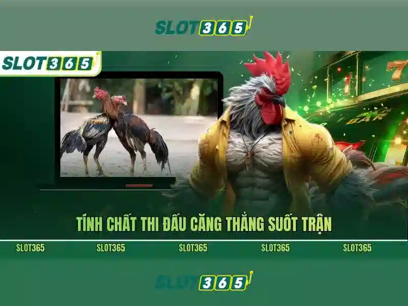 Lợi thế và cạnh tranh Slot365 nổ hũ