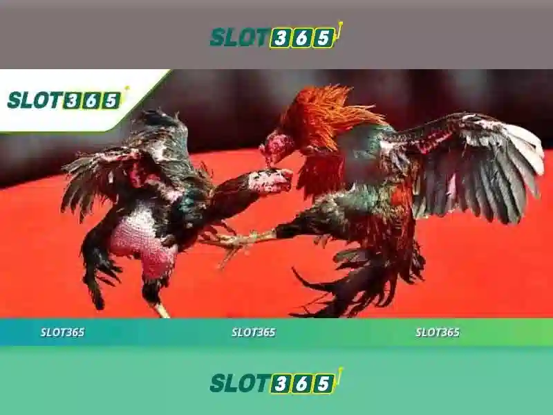 Slot365 - Đánh giá và trải nghiệm chơi slot trực tuyến tại Việt Nam