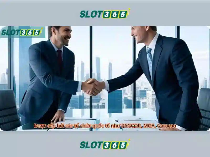 Slot365 - Tổng quan về nền tảng chơi slot