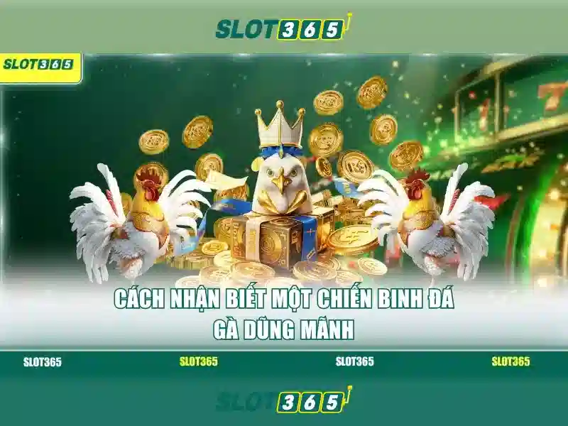Slot365 apk – Tóm tắt chủ đề và giá trị cốt lõi