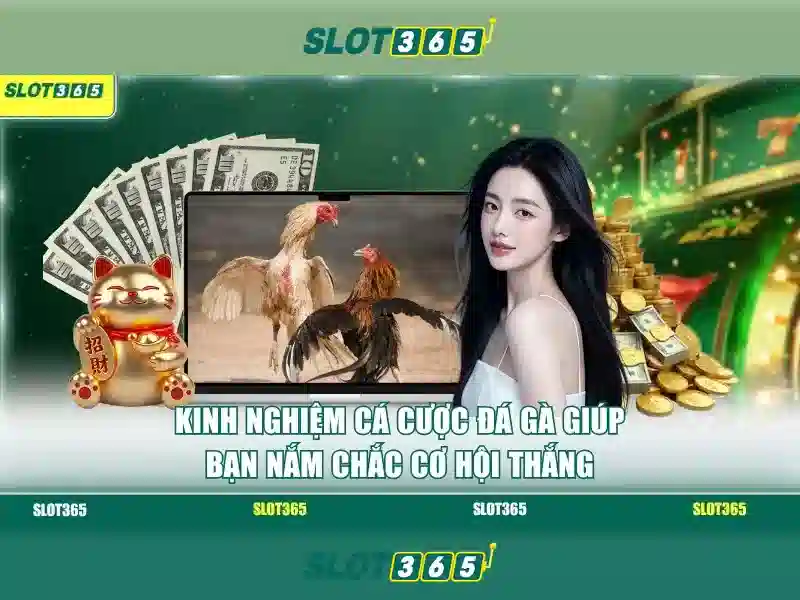 Slot365: Trò chơi xèng trực tuyến