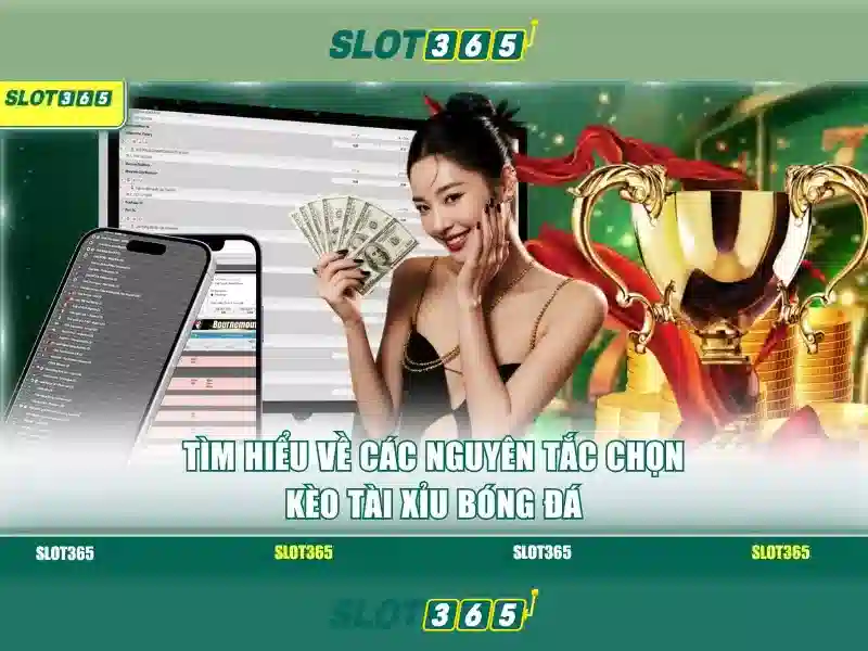 slot game Slot365 – Trải nghiệm đỉnh cao và nhận định
