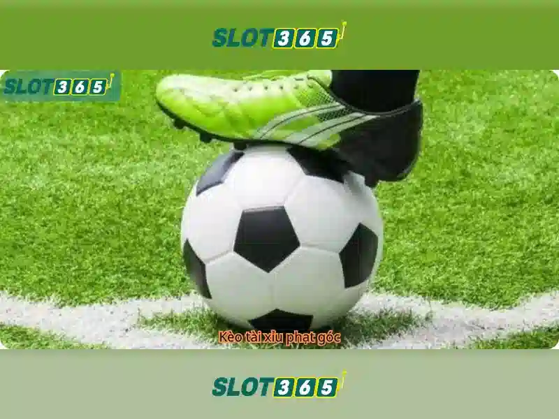 Slot365: Khám phá nền tảng chơi máy đánh bạc trực tuyến