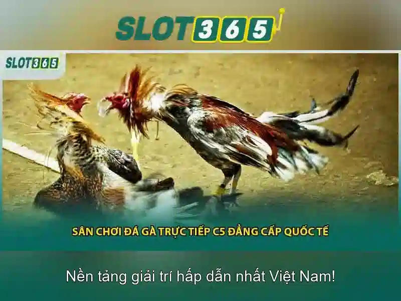 Trải nghiệm người dùng và an toàn