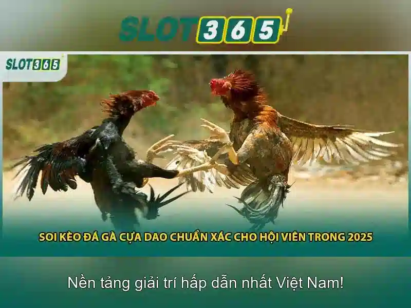 Danh mục trò chơi và slot phổ biến