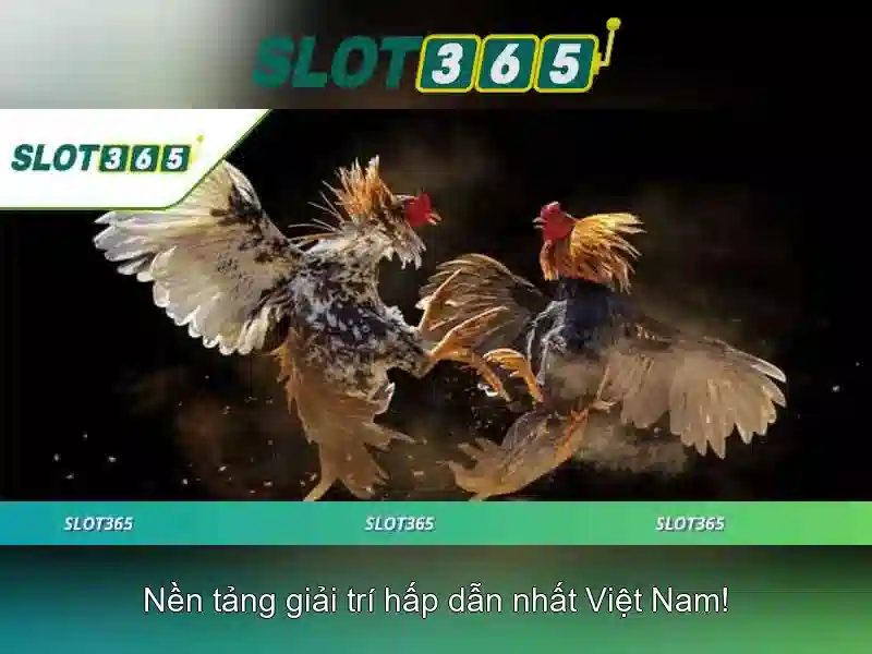 Slot365 – Nền tảng chơi slots trực tuyến