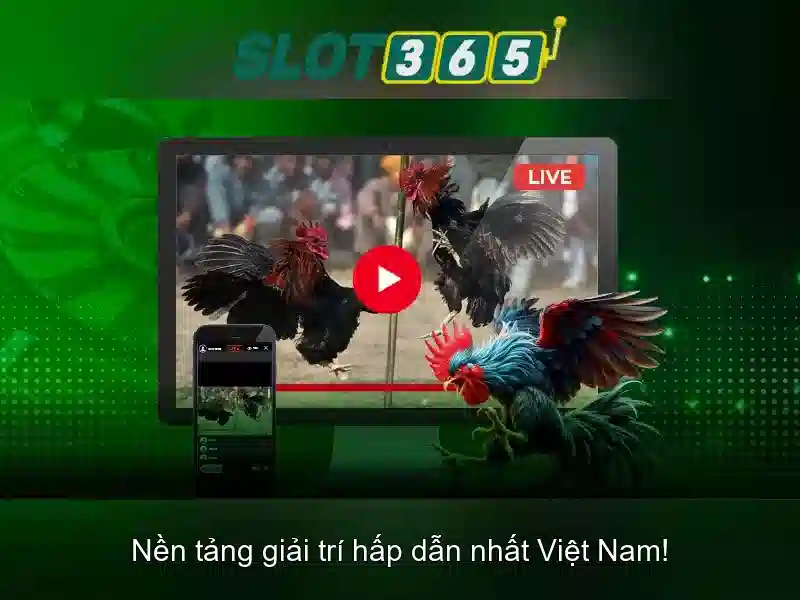 Khuyến mãi và thanh toán