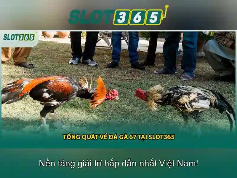 An toàn và bảo mật khi tham gia Slot365