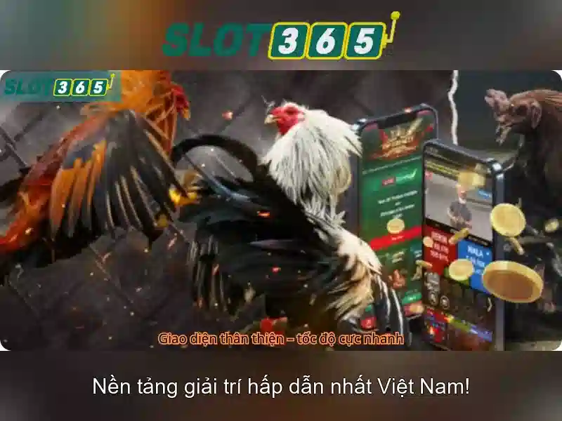 Slot365 là gì?