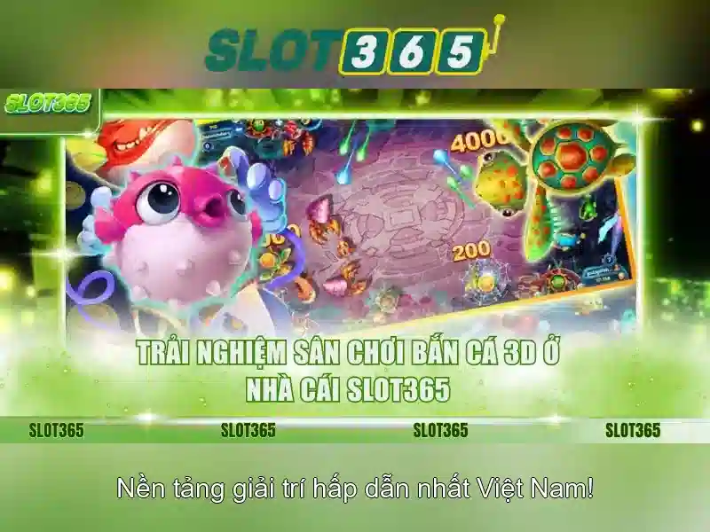 Khuyến mãi hấp dẫn và chương trình hoàn tiền