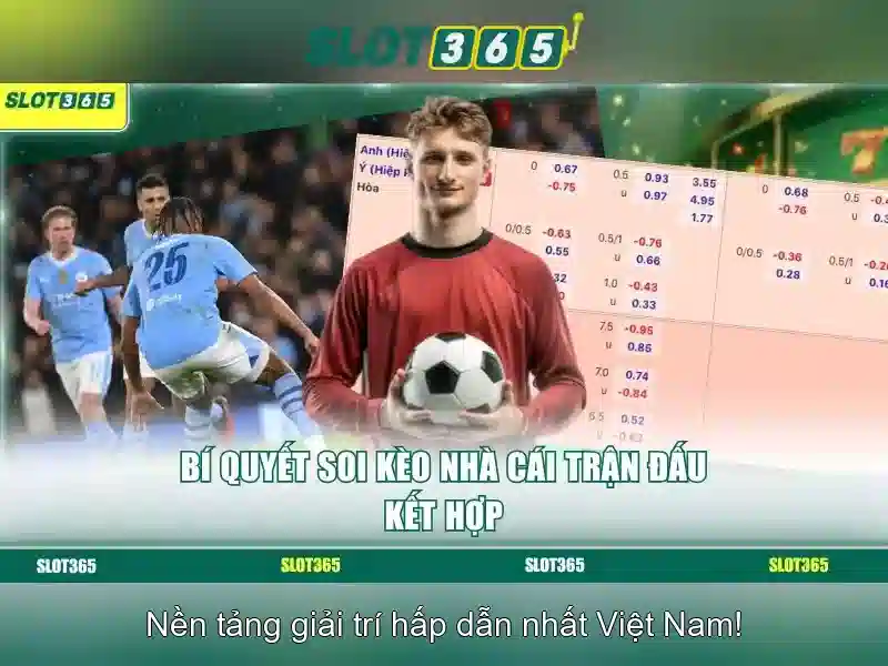 Giao diện người dùng và trải nghiệm