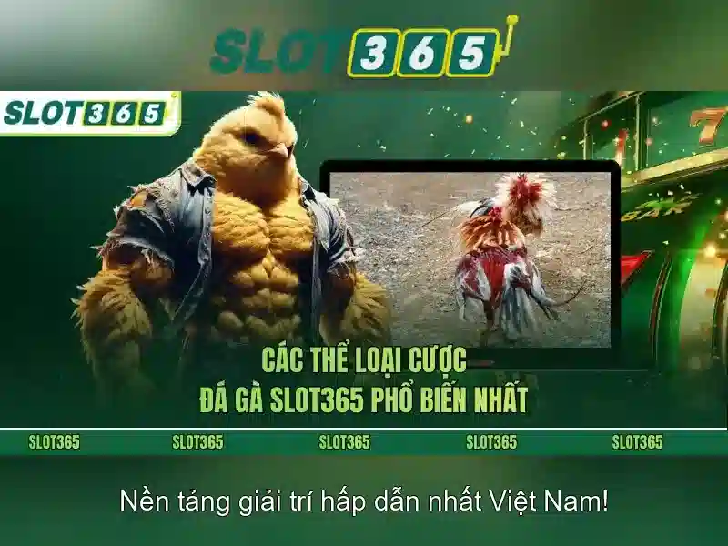 Hỗ trợ khách hàng và trải nghiệm người dùng