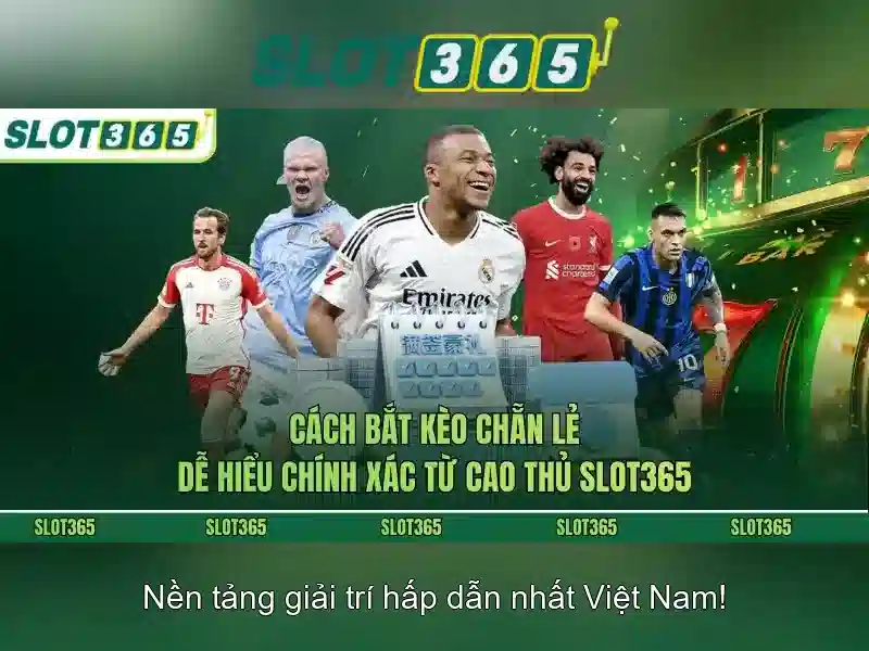 Khuyến mại và ưu đãi\n\n