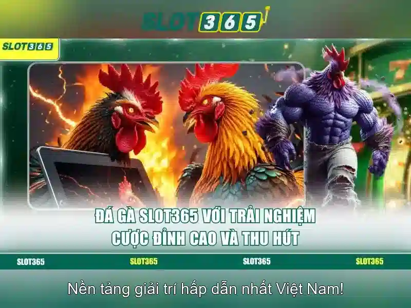 Slot365: Đánh giá và hướng dẫn chơi máy đánh bạc trực tuyến