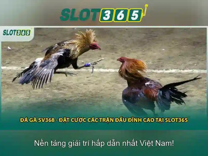 Bảo mật và thanh toán