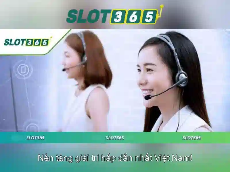 Hỗ trợ khách hàng và trải nghiệm người dùng