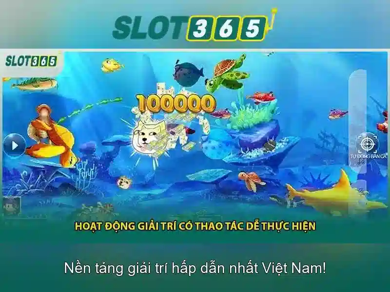 Trải nghiệm người dùng và thiết kế