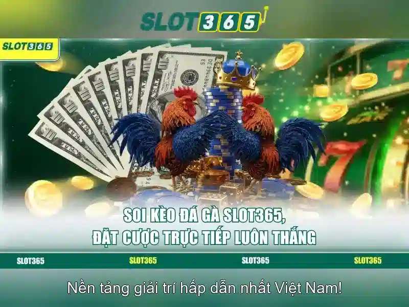 Các tính năng nổi bật