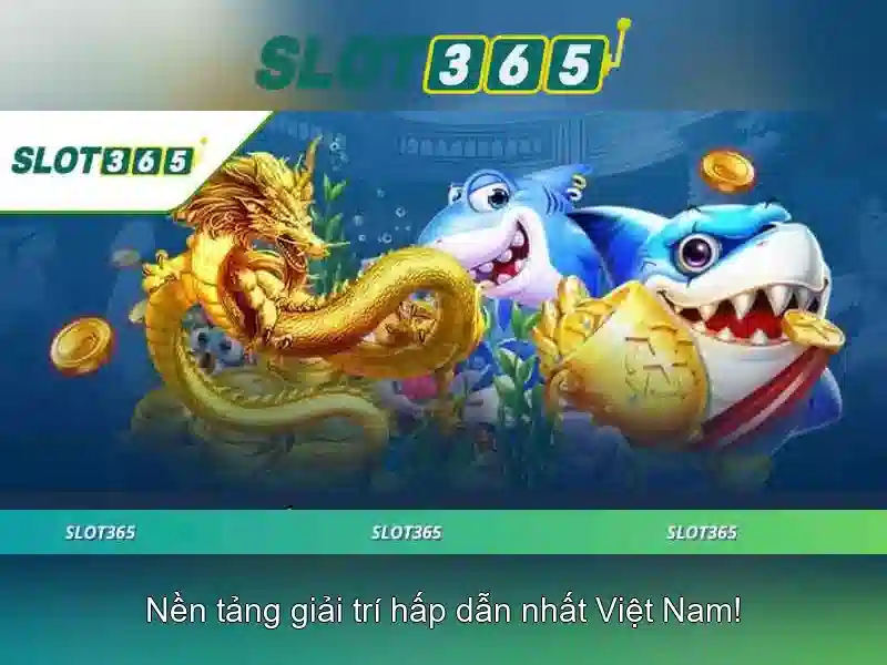 Giao diện người dùng và trải nghiệm di động