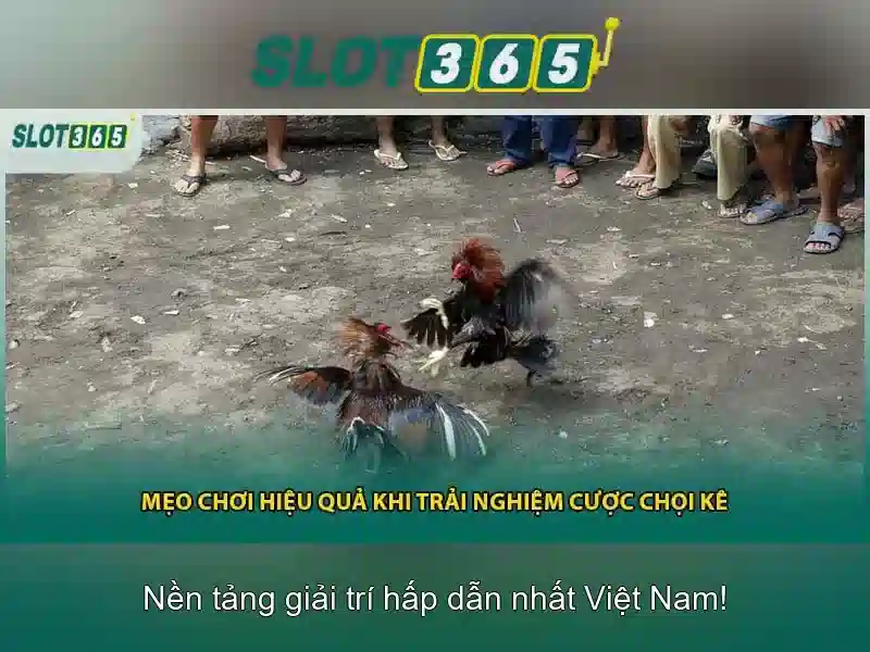 An toàn và tuân thủ pháp lý