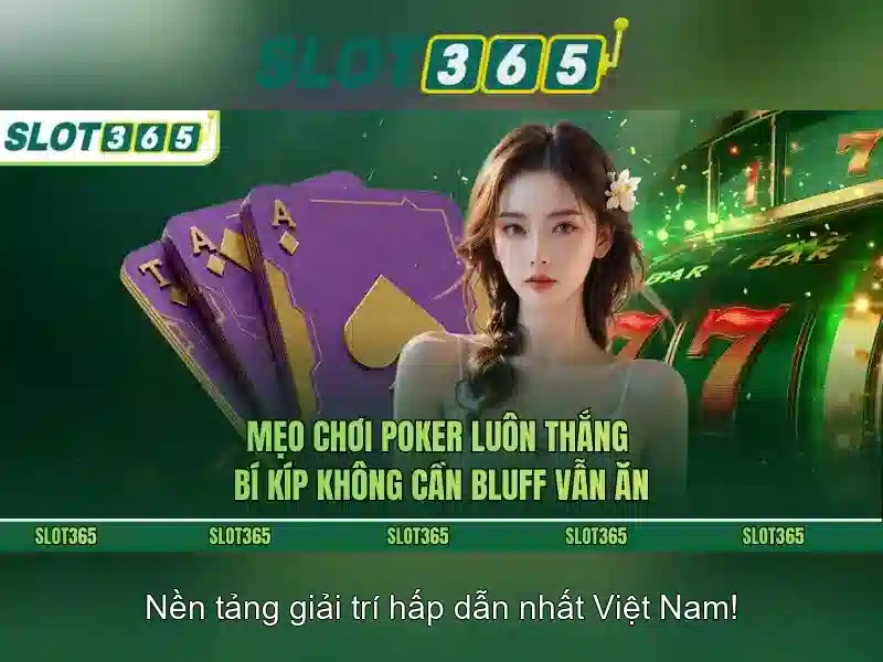 Khuyến mãi và chương trình thưởng
