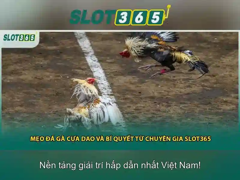 Slot365: Đánh Giá Nền Tảng Slot Trực Tuyến