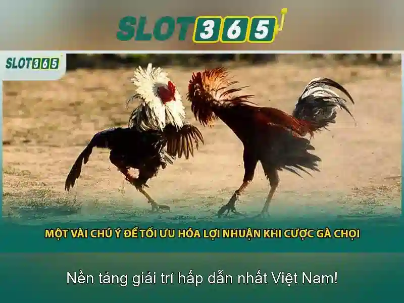 Slot365 là gì và tại sao được nhiều người lựa chọn\n