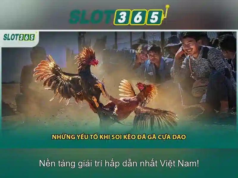 An toàn và hỗ trợ người chơi